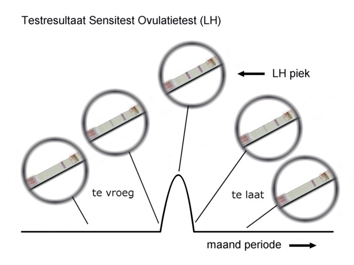 g_testresultaat-sensitest-ovulatietest.jpg