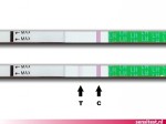 Ovulatietest met 1 licht streepje: je hebt nog weinig kans op zwangerschap.