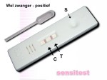 Zwangerschapstest cassette met 2 streepjes: je bent zwanger.