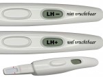 Met de ovulatietest vind je de vruchtbare dagen