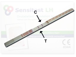 Ovulatietest: je kunt zwanger worden.