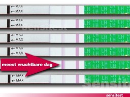 Na een aantal dagen testen is dit de dag dat je de grootste kans hebt om zwanger te worden.