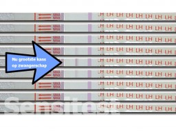 Met 2 streepjes op de ovulatietest ben je nu vruchtbaar