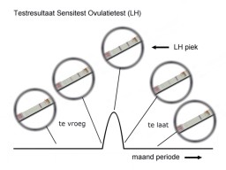 Testresultaten met de ovulatietest.