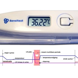 Temperatuur curve en je vruchtbare dagen